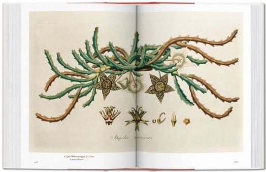 A Garden Eden. Masterpieces of Botanical Illustration. 40th Ed.