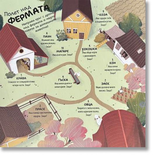 Игра на дронове: Животни от цял свят