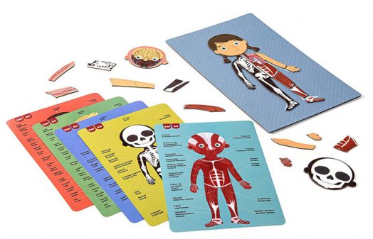 Детска магнитна игра Apli Kids - Човешкото тяло