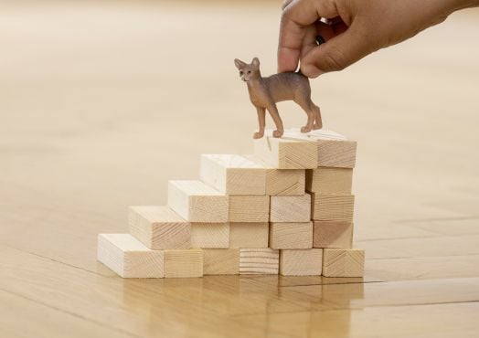 Фигурка Schleich: Абисинска котка