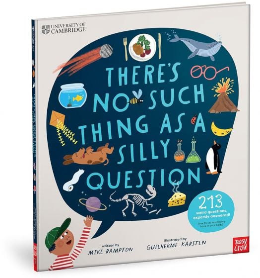 There's No Such Thing as a Silly Question