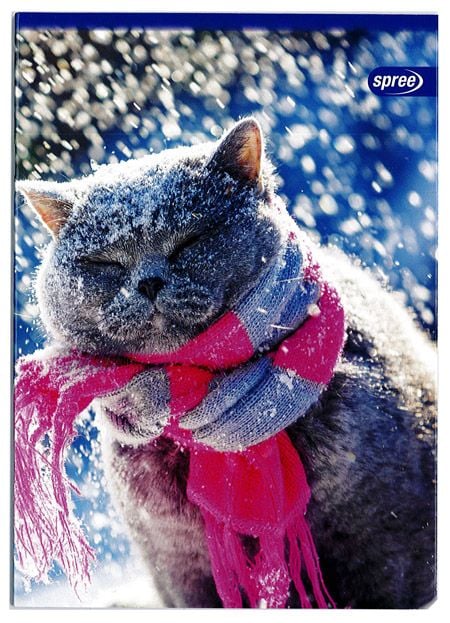 Тетрадка Spree Basic А5, 40 бели листа - нелинирани