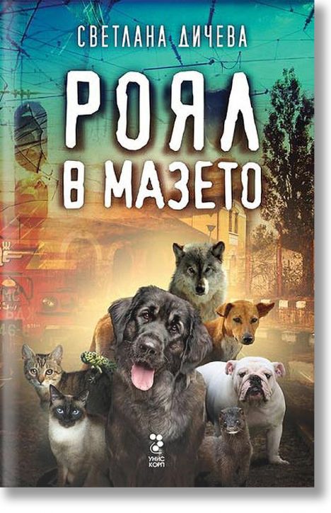 Роял в мазето