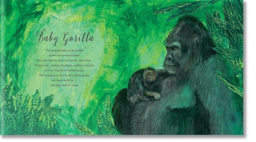 A First Book of Animals