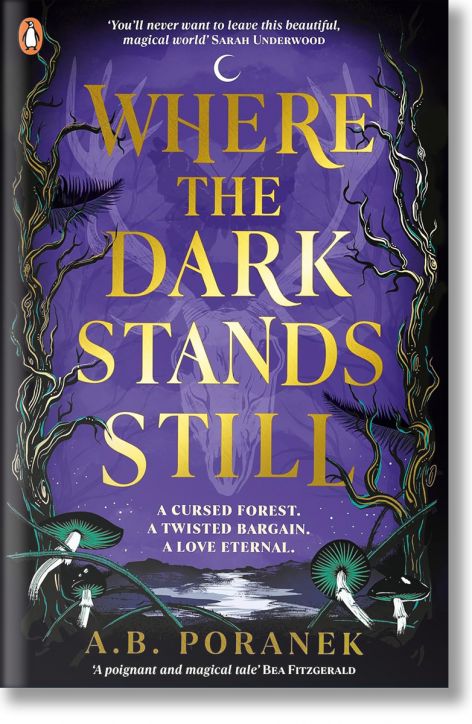 Where the Dark Stands Still