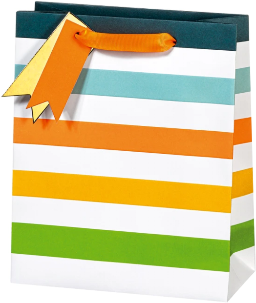 Подаръчна торбичка BSB - Neon Stripes, размер M