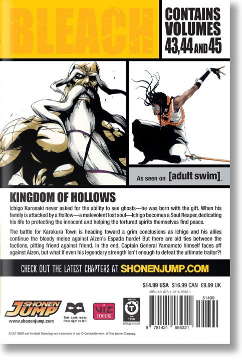 Bleach (3-in-1 Edition), Vol. 15