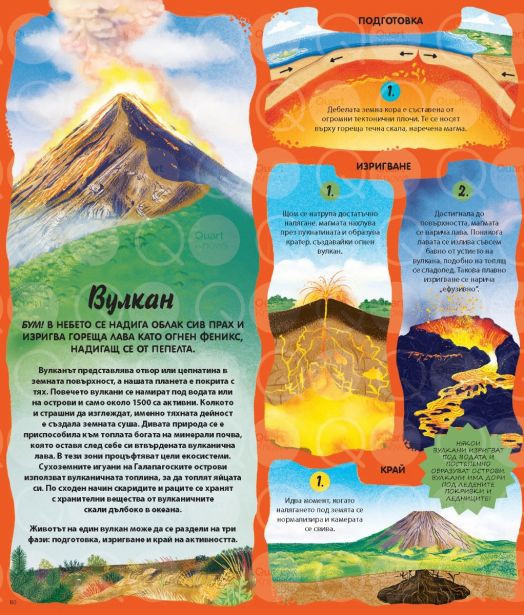 Вечният кръговрат на Майката Природа. 48 истории за жизнени цикли от цял свят