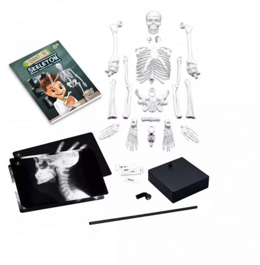Научен комплект Buki - Направи си сам - Скелет