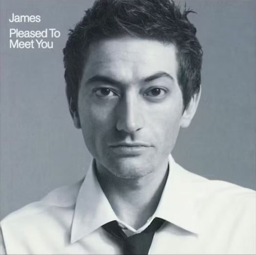 James - Pleased to Meet You (2 VINYL)