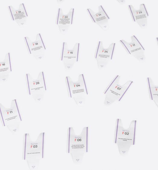 100 Curious Facts Another Me - Cats