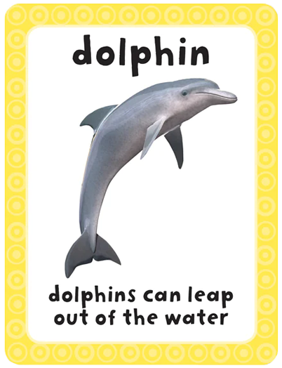 Get Set Go Flashcards: Animals