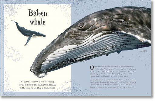 An Anthology of Intriguing Animals