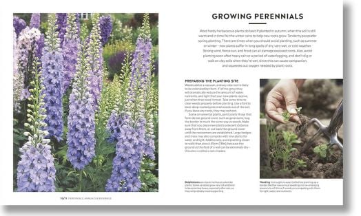 RHS How to Garden New Edition