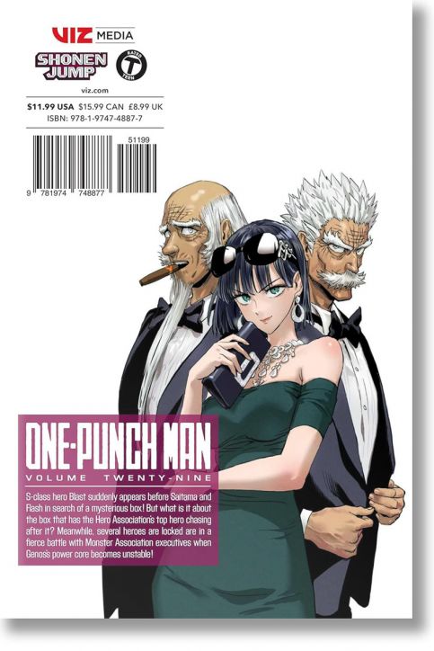 One-Punch Man, Vol. 29