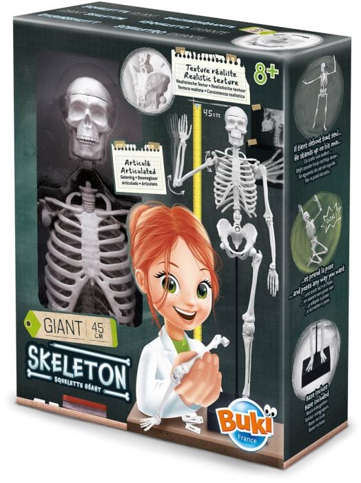 Научен комплект Buki - Направи си сам - Скелет
