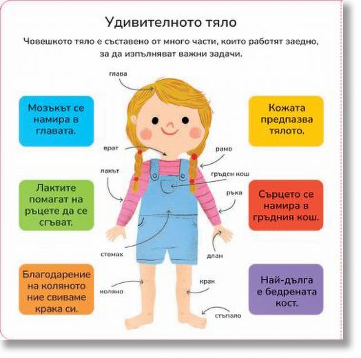 Моето тяло. Интерактивна книга
