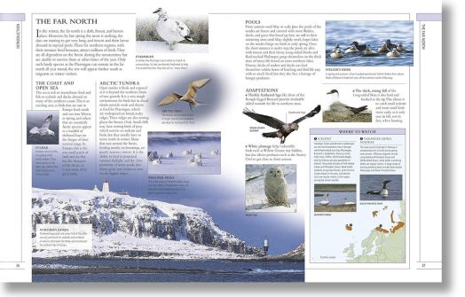 Complete Birds of Britain and Europe