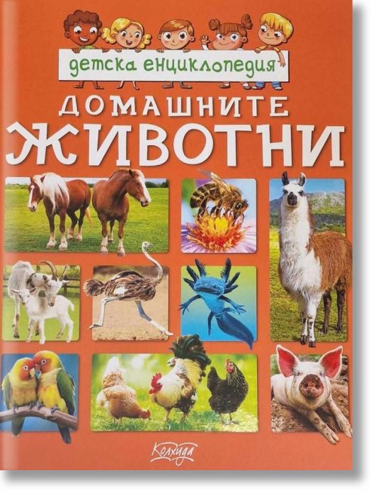 Детска енциклопедия: Домашните животни