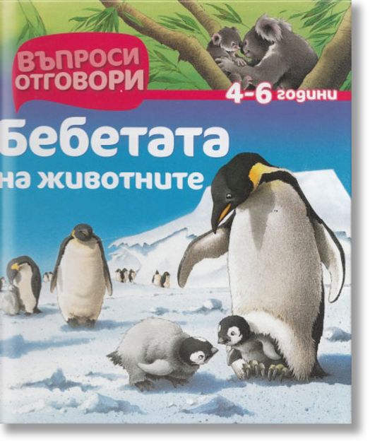 Бебетата на животните 4-6 години/ Въпроси и отговори