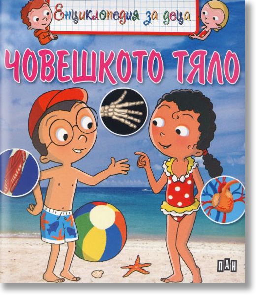 Енциклопедия за деца: Човешкото тяло