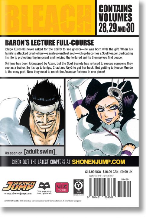 Bleach (3-in-1 Edition), Vol. 10