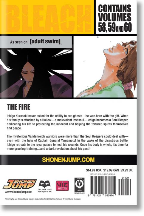 Bleach (3-in-1 Edition), Vol. 20