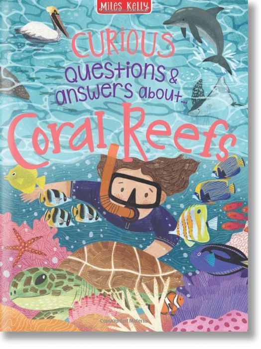 Curious Questions & Answers About Coral Reefs