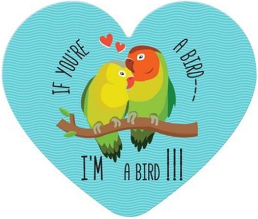 Табелка-картичка - If You're A Bird, I'm A Bird