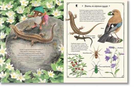 Випс край скалите