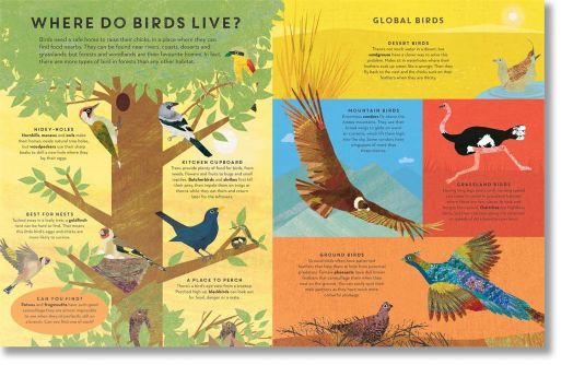 There Are Birds Everywhere