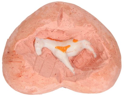 Гипсово сърце за изкопаване Thames & Kosmos - Кончета