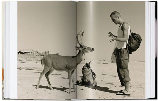 Wolfgang Tillmans. four books. 40th Ed.