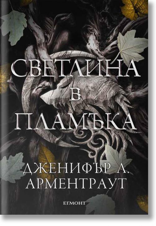 Плът и огън, книга 2: Светлина в пламъка