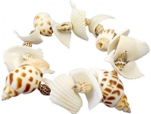 Изследователски комплект Buki Nature: Морски черупки и раковини