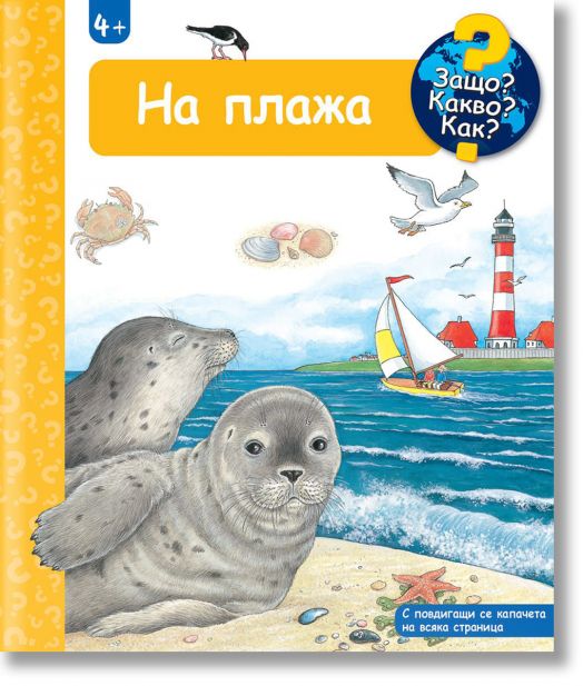 Защо? Какво? Как? - На плажа