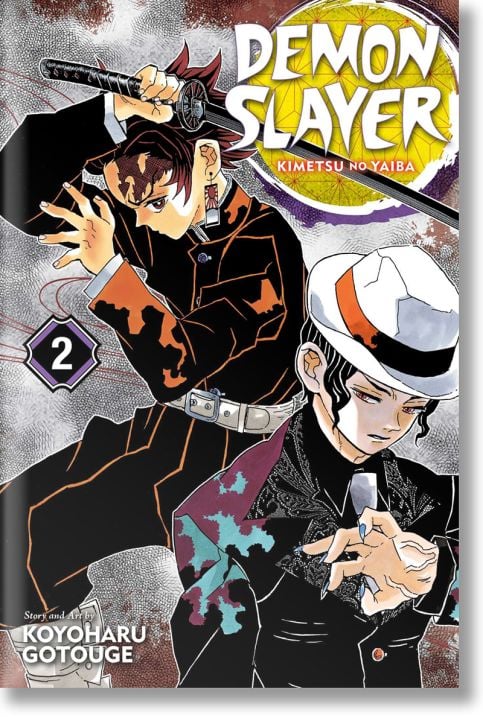 Demon Slayer Kimetsu no Yaiba, Vol. 2 It Was You