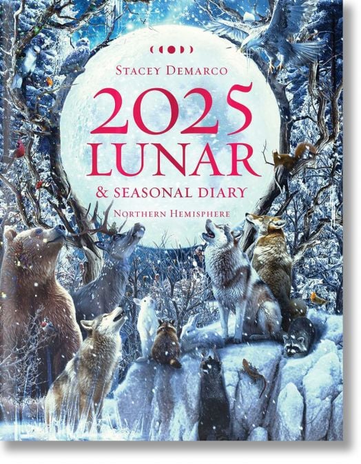 2025 Lunar and Seasonal Diary Northern Hemisphere