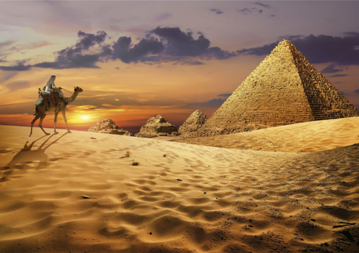 Пъзел Educa: Камили в пустинята, 1000 части