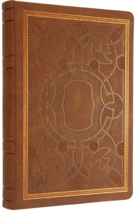 Тефтер Victoria's Journals Old Book