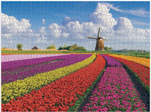 Пъзел Good Puzzle - Цветя в Нидерландия, 1000 части