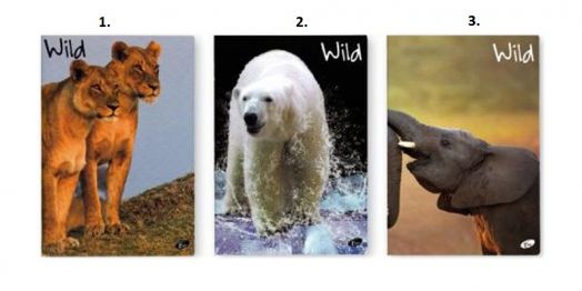 Тетрадка Wild А5, 60 листа с широки редове