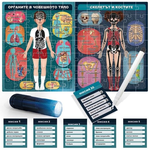 Образователен пъзел Headu - Човешкото тяло под рентген