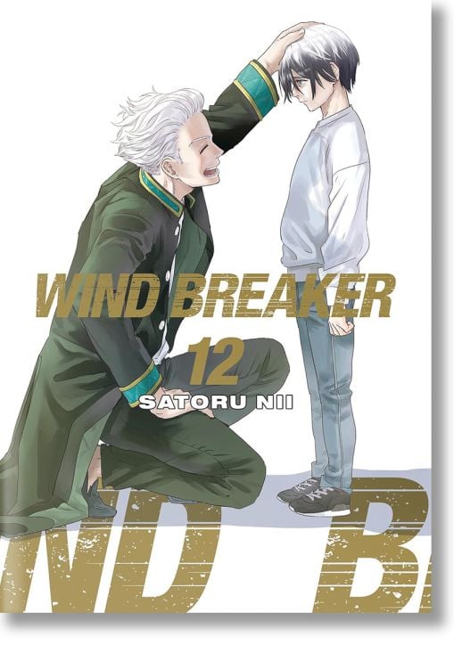 Wind Breaker, Vol. 12
