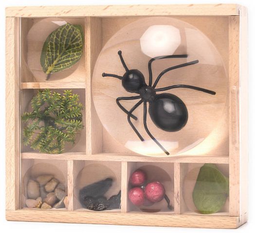 Кутия за колекциониране Kikkerland Huckleberry