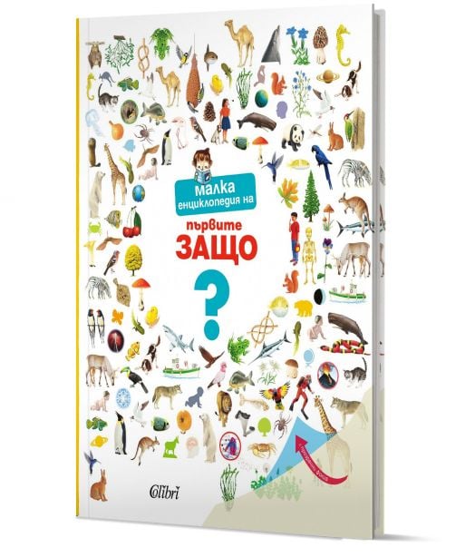 Малка енциклопедия на първите ЗАЩО