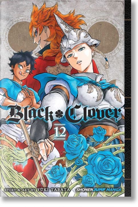 Black Clover, Vol. 12