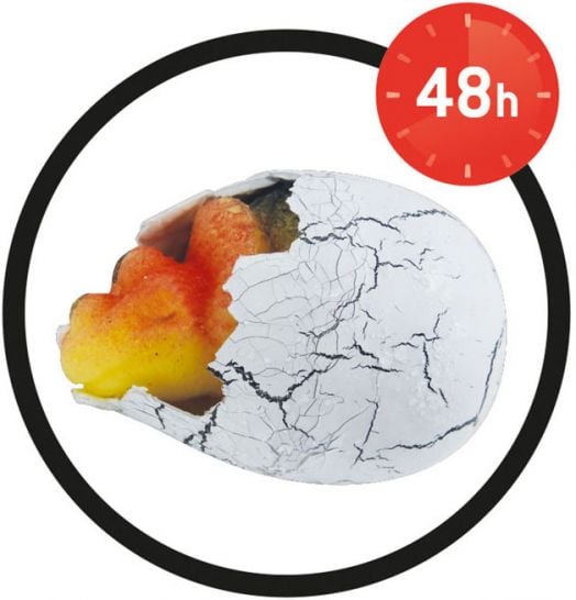 Самоизлюпващо се магическо яйце Buki - Динозавър