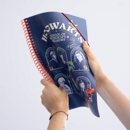 Папка с ластик Grupo Erik - Harry Potter A4