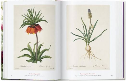 Redoute: The Book of Flowers, 40th Edition